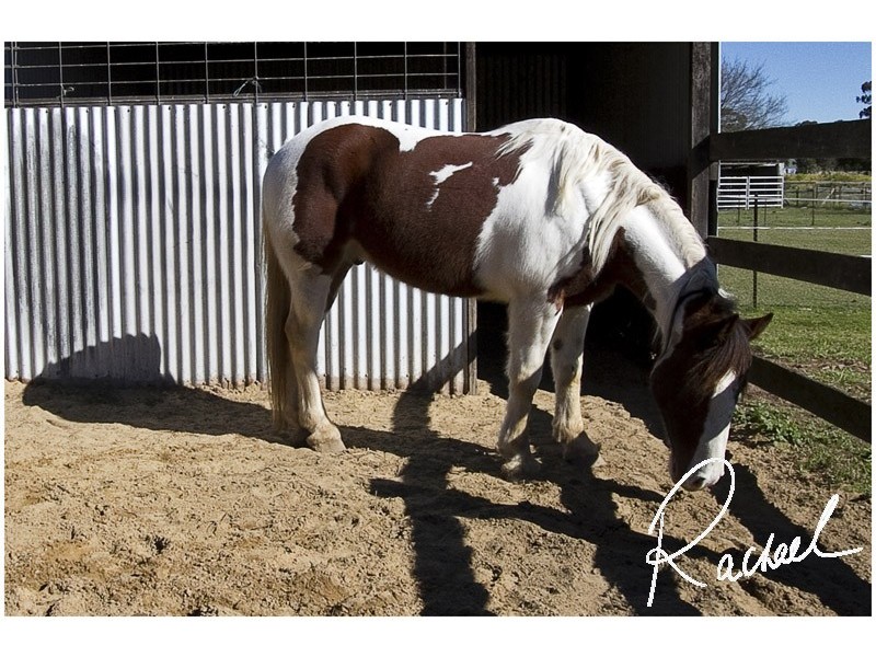 South Windsor NSW 2756