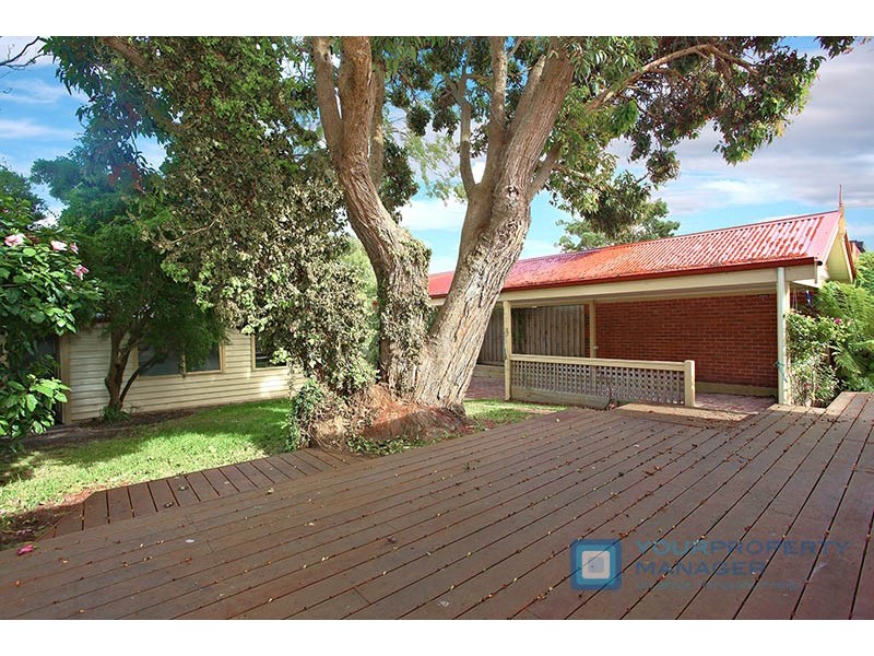 14 Susan Street, Sandringham VIC 3191