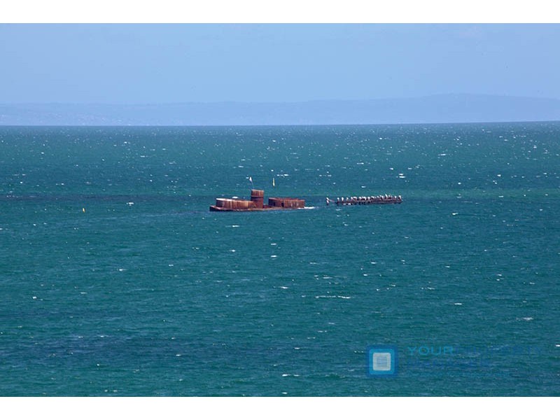 20/170 Beach Road, Sandringham VIC 3191