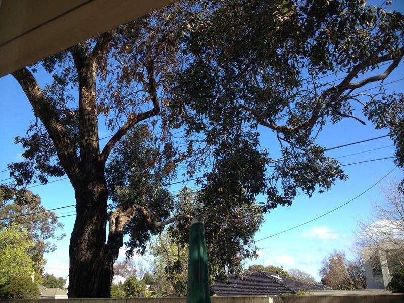 6/11-13 Well Street, Brighton VIC 3186