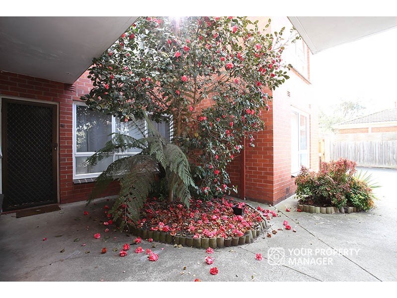 4/3 Mackenzie Street, Cheltenham VIC 3192