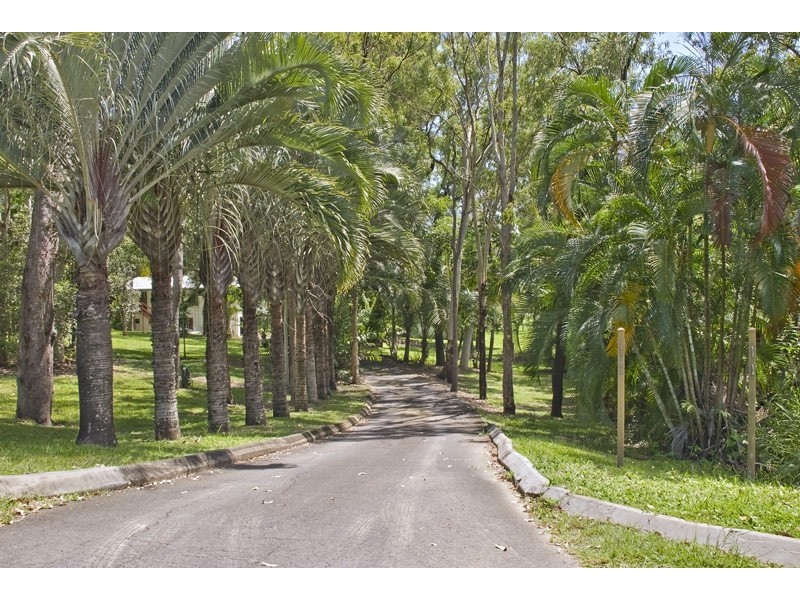 19 Panguna Street, Trinity Beach QLD 4879
