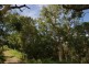 Lot 213,  Captain Cook Highway, Clifton Beach QLD 4879