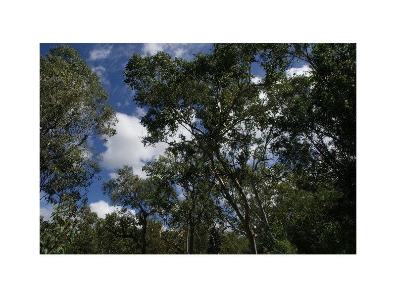 Lot 213,  Captain Cook Highway, Clifton Beach QLD 4879