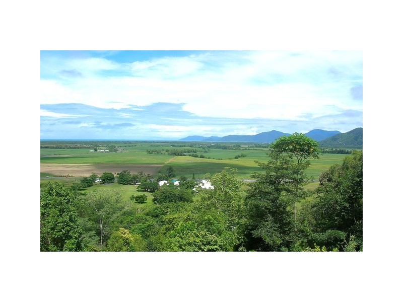 97-99 Figtree Drive, Caravonica QLD 4878