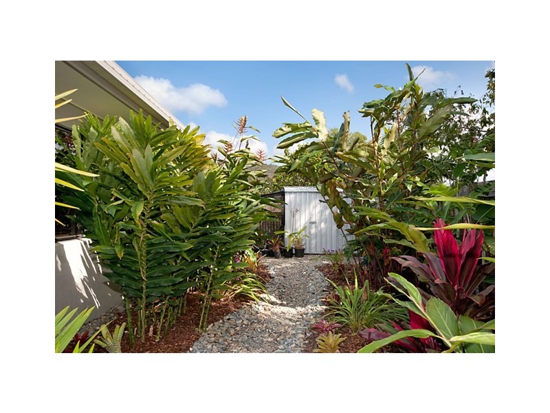 15 Vetiver Street, Trinity Park QLD 4879