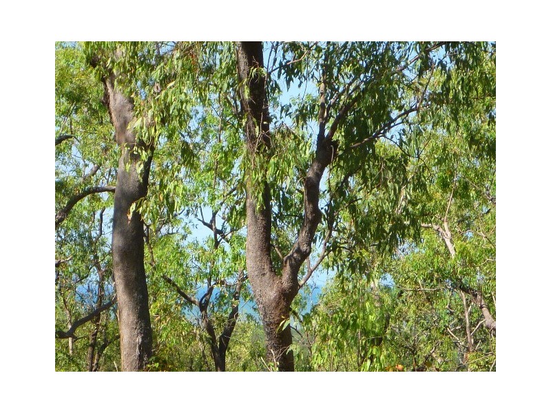 7 Waterview Close, Kewarra Beach QLD 4879