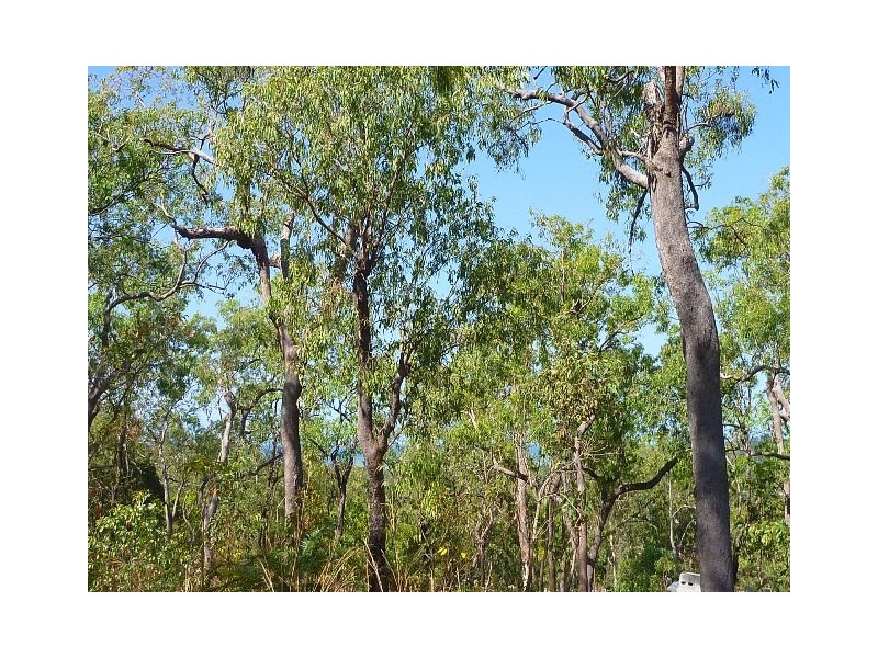 7 Waterview Close, Kewarra Beach QLD 4879