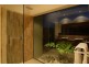 20 Port Close, Trinity Beach QLD 4879