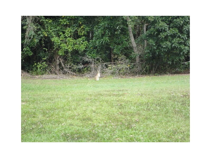 13 Muller Street, Palm Cove QLD 4879