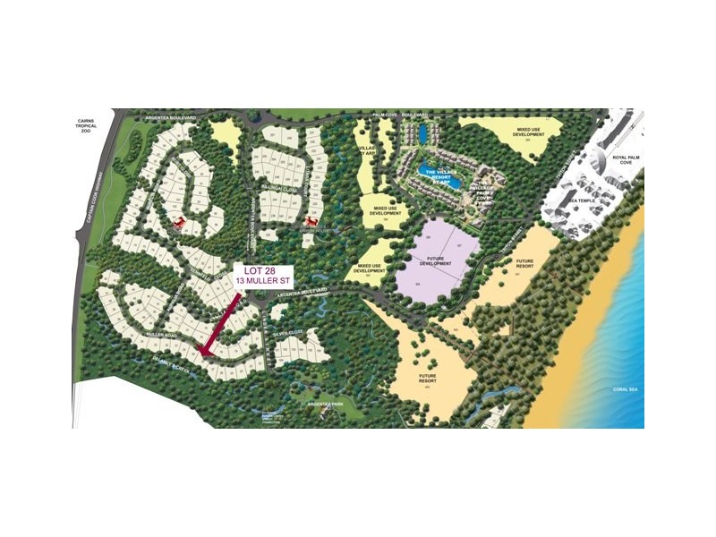 13 Muller Street, Palm Cove QLD 4879