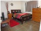 25 Palmetto Street, Palm Cove QLD 4879