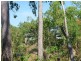 Kewarra Beach QLD 4879