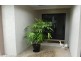 4 Imooya Place, Trinity Park QLD 4879