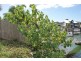 63 Harbour Drive, Trinity Park QLD 4879