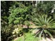 Lot 31, 7 Tari Place, Trinity Beach QLD 4879