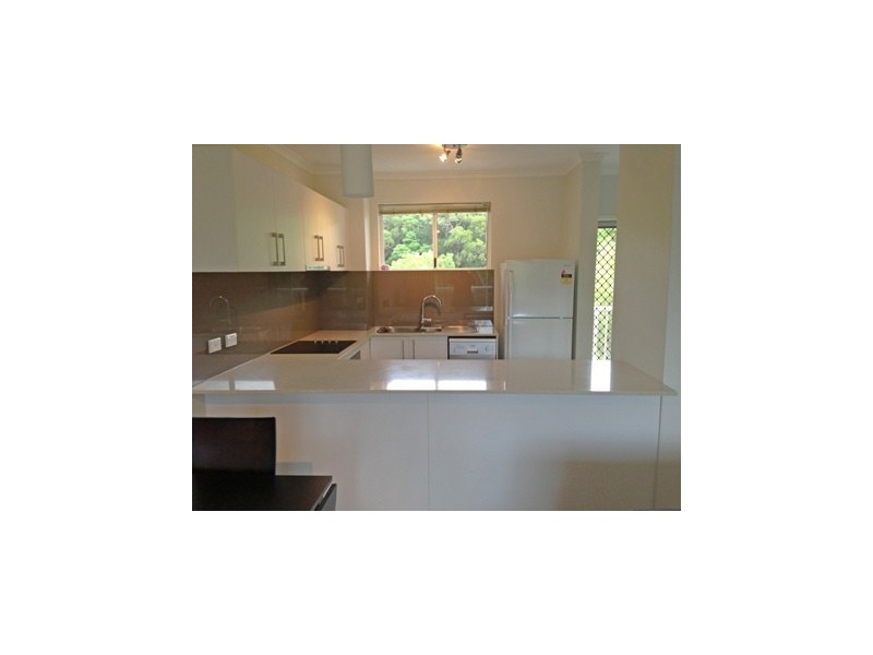 241 Coral Coast Drive, Palm Cove QLD 4879