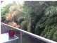 241 Coral Coast Drive, Palm Cove QLD 4879