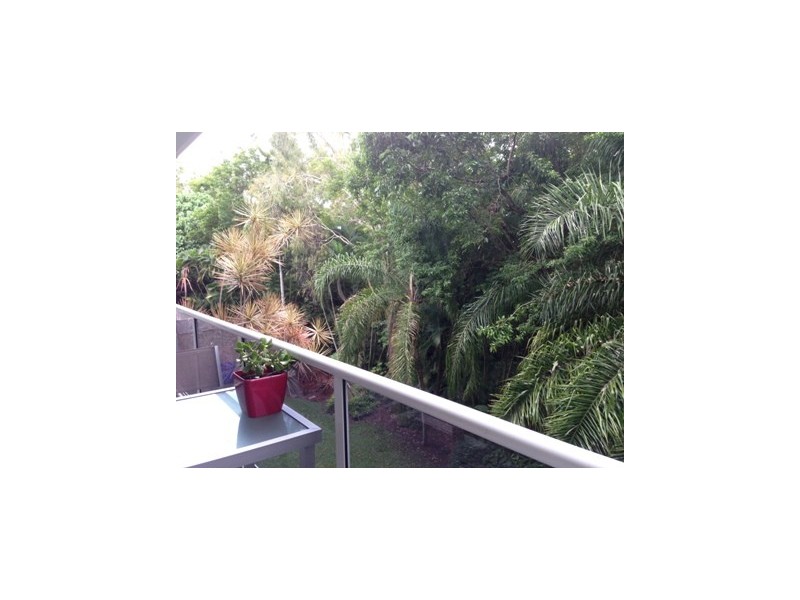 241 Coral Coast Drive, Palm Cove QLD 4879