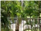 24 Oliva Street, Palm Cove QLD 4879
