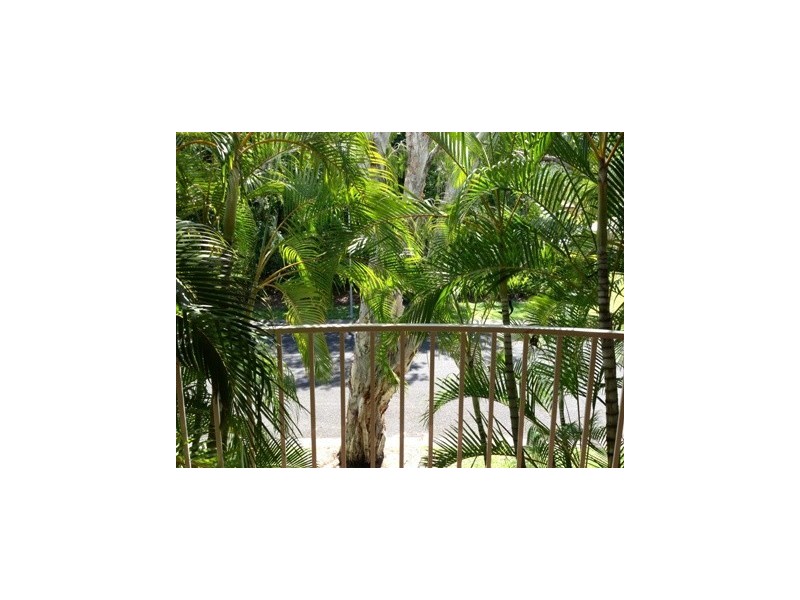 24 Oliva Street, Palm Cove QLD 4879