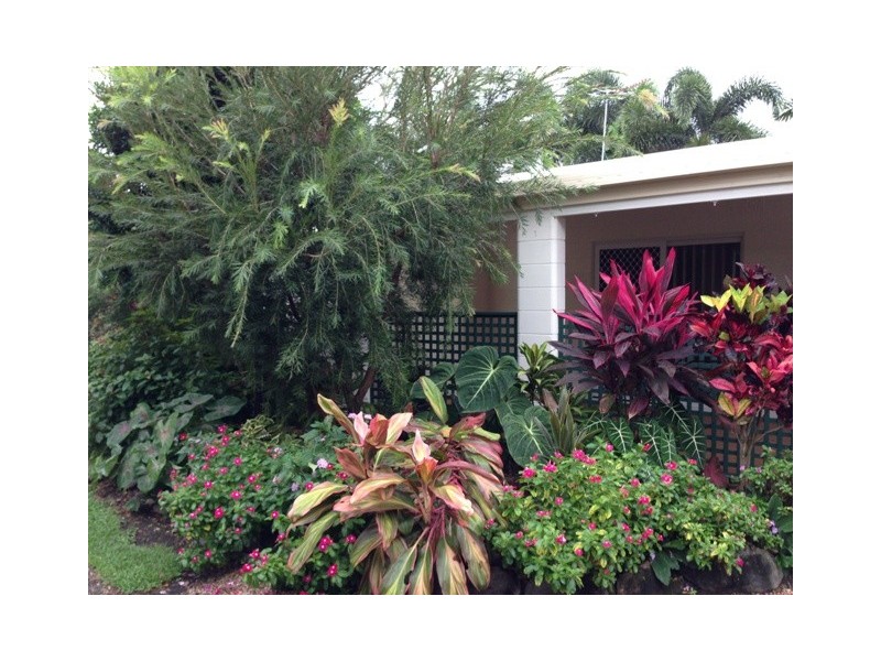 1/49 Albatross Street, Kewarra Beach QLD 4879