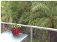 231/241 Coral Coast Drive, Palm Cove QLD 4879