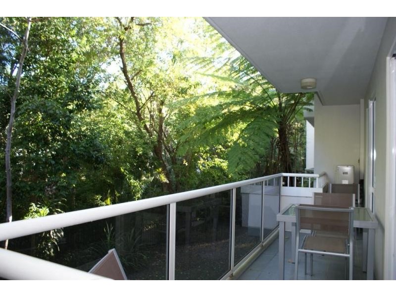 221/241 Coral Coast Drive, Palm Cove QLD 4879