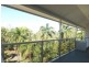 241 Coral Coast Drive, Palm Cove QLD 4879