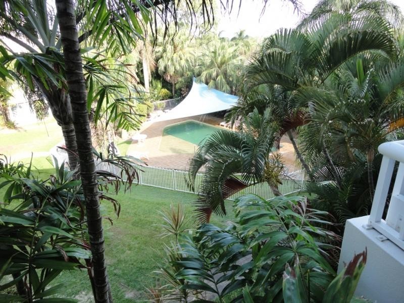 241 Coral Coast Drive, Palm Cove QLD 4879