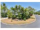 51 Terebra Street, Palm Cove QLD 4879