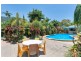 51 Terebra Street, Palm Cove QLD 4879