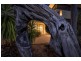 39 Harbour Drive, Trinity Park QLD 4879