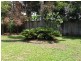 3 Chystanthus Street, Trinity Park QLD 4879