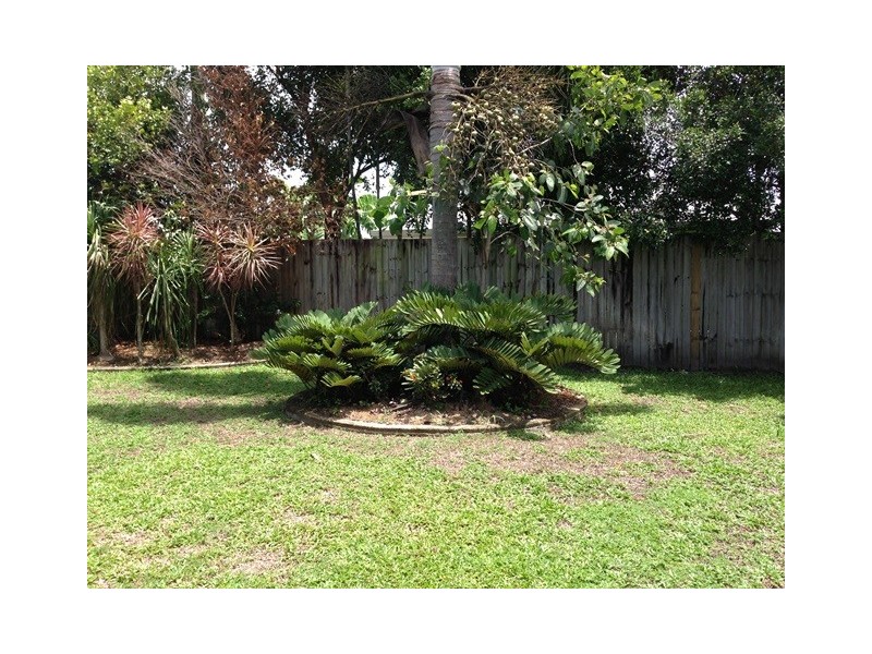 3 Chystanthus Street, Trinity Park QLD 4879