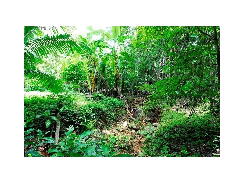 100 Stanton Road, Smithfield QLD 4878