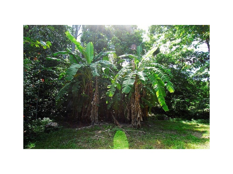 100 Stanton Road, Smithfield QLD 4878