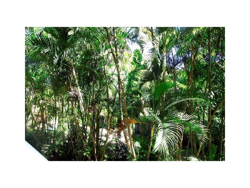 25 Digger Street, Cairns North QLD 4870