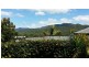 6 Barnacle Street, Trinity Beach QLD 4879