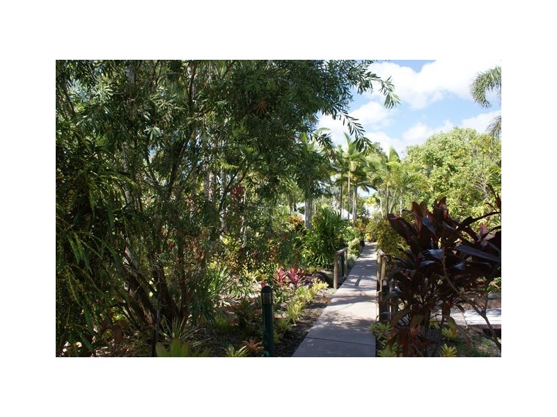 21/24 Warren Street, Palm Cove QLD 4879