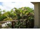 2/15 Amphora Street, Palm Cove QLD 4879