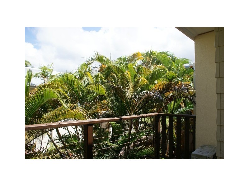 2/15 Amphora Street, Palm Cove QLD 4879