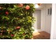 7/50 Best Street, Yorkeys Knob QLD 4878