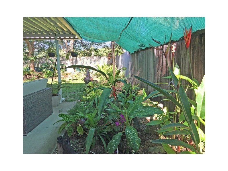 29 Dolphin Close, Kewarra Beach QLD 4879