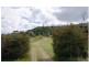 Lot 21, Lot 21 Bilic Road, Shell Pocket QLD 4855