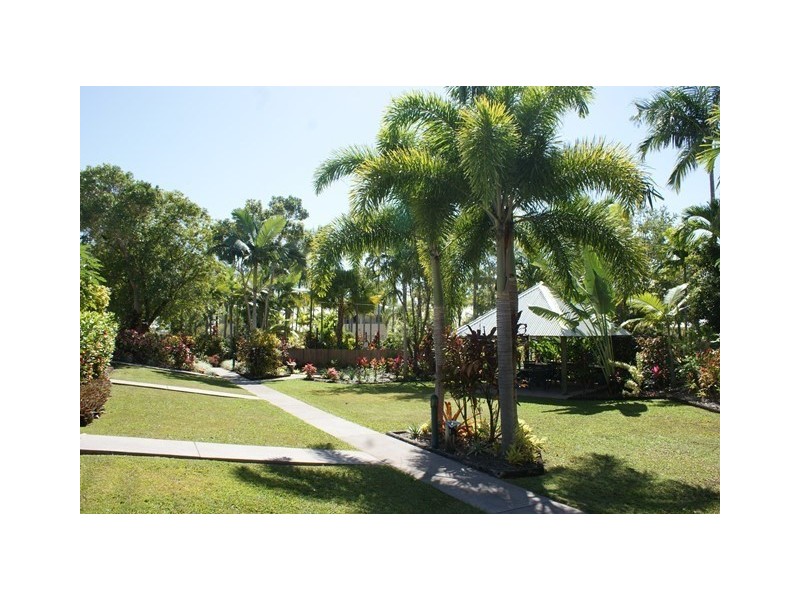 31/24 Warren Street, Palm Cove QLD 4879
