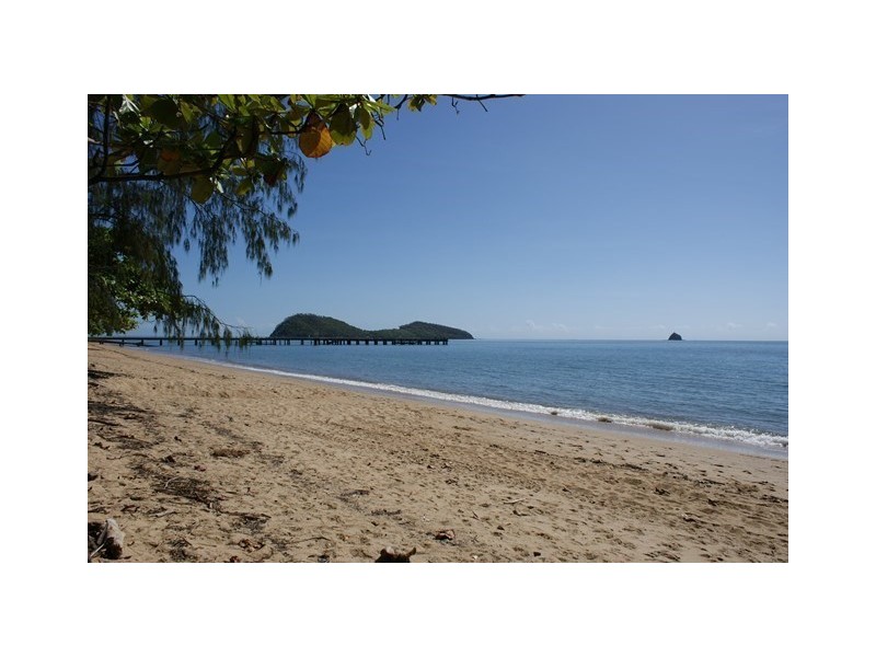 31/24 Warren Street, Palm Cove QLD 4879