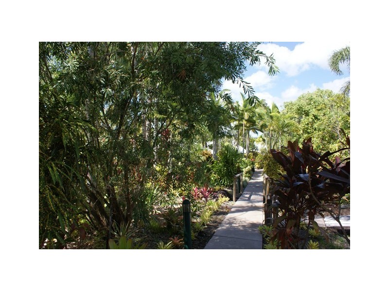 33/24 Warren Street, Palm Cove QLD 4879