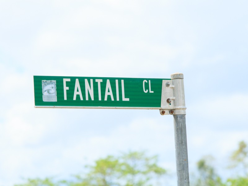 Lot 80, 13 Fantail Close, Woree QLD 4868