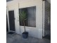 6/9-11 Amphora Street, Palm Cove QLD 4879